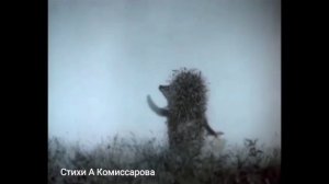 Быть или не быть - стихи А Комиссарова