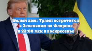 Белый дом: Трамп встретится с Зеленским во Флориде в 23:00 мск в воскресенье