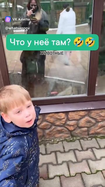 Что у неё там? 🤣🤣🤣🤯 Ребёнок спрашивает у мамы про обезьянку смотреть онлайн