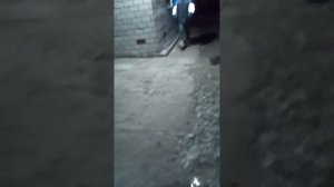 3 серия на тёмной даче