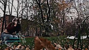 Видео монтировала одна из моих лучших подруг!#Квадробика