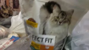 Сделала себе маникюр 💅/Зашли в гости к Светеной крестнице/Семейный влог27.12.25