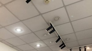 Галерея «Богородское», персональная выставка художника Полины Заремба г. Москва 2025