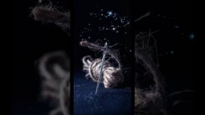 "Новогоднее желание"