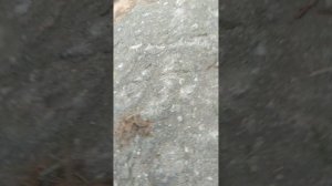 Селятино приключение Ромы и Маши 9 серия сборник лёвы для взрослых и детей