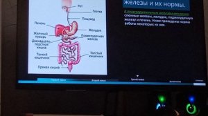 Биология 9 класс. Подготовка к ОГЭ-9 по биологии по теме: "Пищеварительная система (анатомия).".