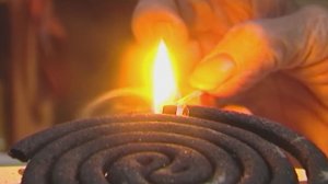 Комары атакуют жителей многоэтажки в Нижнем Новгороде