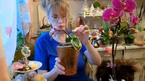 1000015893.mp4  🖋️🚀КУПИЛА ТО,ЧТО ПЛАНИРОВАЛА И ОЧЕНЬ ДОВОЛЬНА 💃🔥МОИ БУДНИ 🖋️🚀