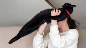 ПРИКОЛЫ С ЖИВОТНЫМИ