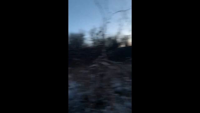 Прогулка с нашими собакевичами к Кубани и Урупу.