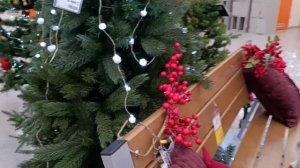 #красота в оби в Брянске