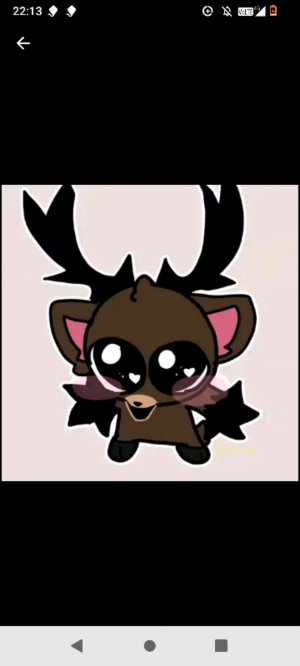 первое видео