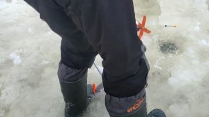 Основной водоём. Котлета.