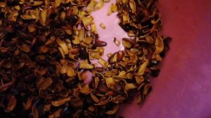 2 ложки скорлупы кедровых орехов на 3 литра самогона.