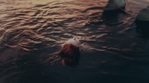 Sofia Avramidou - La Canzone di Marinella