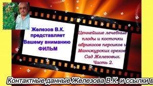Ценнейшие лечебные плоды и косточки абрикосов, персиков и Манчжурского ореха. Сад Железовых. Часть 2