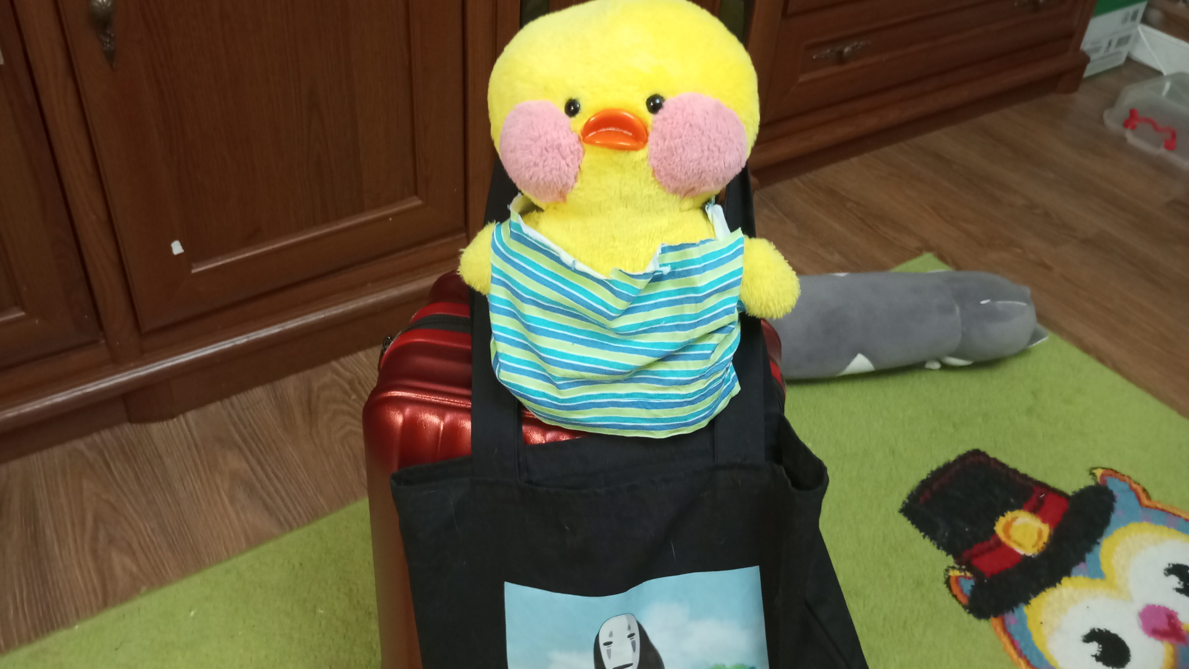 сборка вещей с земляничной в Санкт-Петербург