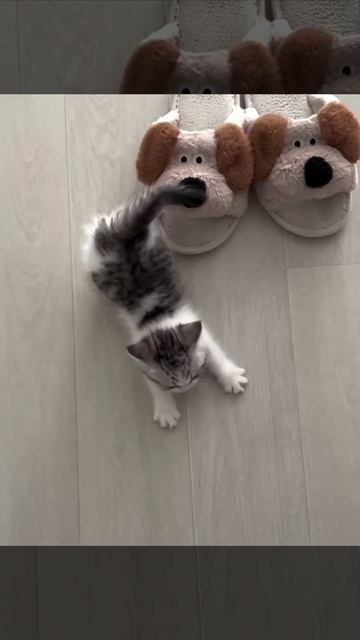 Проснулись? смотреть онлайн