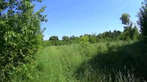 Заброшенная_деревня_в_живописном_месте_Тамбовской_области