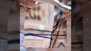 1000043682.mp4 (Собака смотрит на итоги монтажа электропроводки в доме А-фрейм)