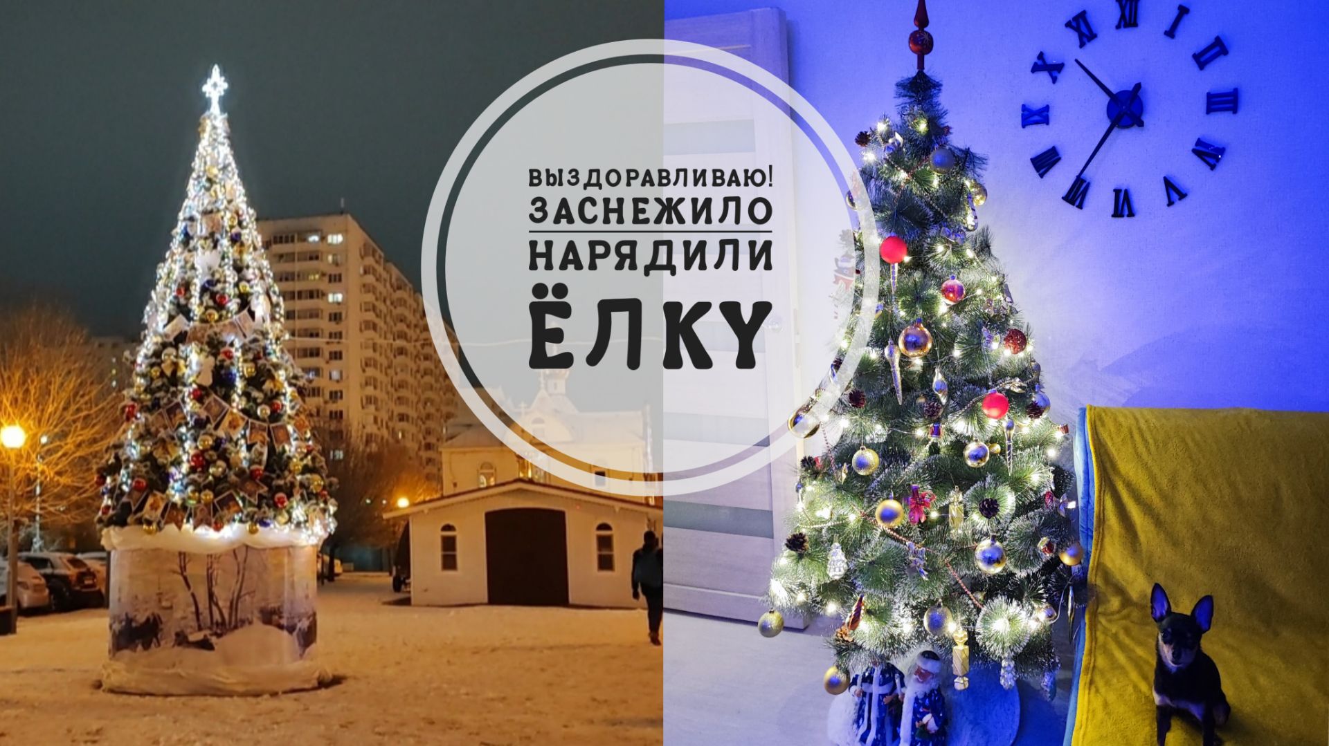 Vlog 142/25. Иду на поправку🙏🏻// Ёлка🎄//Снег👏🏻❄️//Капустное меню😋// Mariya VD LIFE. смотреть онлайн