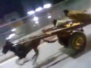 Турбо Ишак!