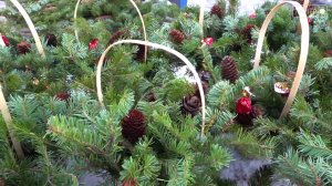 Как обстоят дела с покупкой новогоднего древа в Артёме