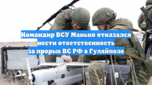 Командир ВСУ Манько отказался нести ответственность за прорыв ВС РФ в Гуляйполе