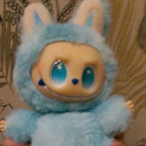 я делаю дневник