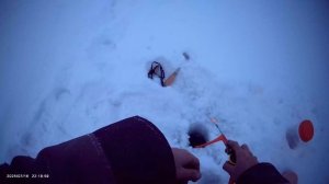 Порыбачил на Карьере🎣 Рыбачил на мормышку с пучком мотыля. Прикормил лунку мотылем.