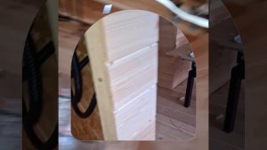 1000043673.mp4 (Собака смотрит на итоги монтажа электропроводки в доме А-фрейм)