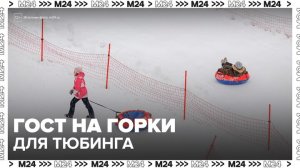 В РФ утвержден первый ГОСТ на горки для тюбинга - Москва 24