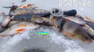 ТУТ балансиры ОТРЫВАЮТ! ВОТ ЭТО рыбалка! Тестируем новый эхолот MAX. Зимой 2025-26