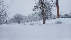 Зимняя сказка на юге❄❄❄! Сон про маму ! Юг России!