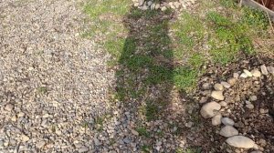 А мы в гости к вам