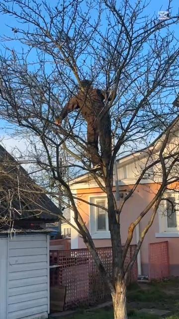 ✨ Уличная гирлянда, которая создаёт настоящую атмосферу праздника! смотреть онлайн