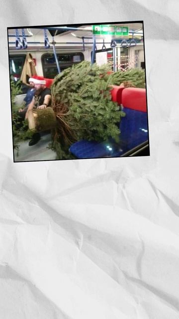 Как я довезу ЭТУ ОГРОМНУЮ елку в Новый год смотреть онлайн