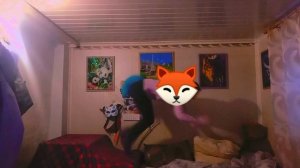 квадробика