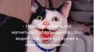 Анекдотцы - 4 🤣