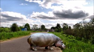 Начало деревни