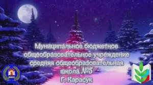 ППО МБОУ СОШ № 5 - новый год 2025