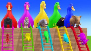 Веселые игры с слоном, гориллой, бегемотом, тигром - 3D игра с животными - Забавные 3D животные