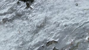 Эд Стаффорд: Голое выживание 3 сезон 6 серия (документальный сериал, 2013)