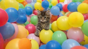 Мультик для детей . МУЛЬТФИЛЬМ ДЕТЯМ .ДЕТЯМ