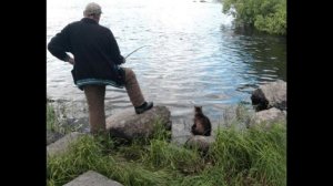 Человек и Кот