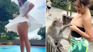 Попробуй не рассмеяться 🤣 Топ-100 смешных миксов и самых смешных мемов