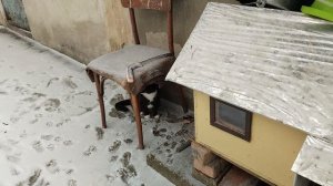 26.12.25   котофеи  💋💔