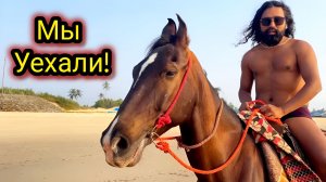 Это Случилось Внезапно! Собрали Вещи и Уехали! Пляж Парадайз. ГОА.