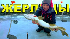 Зимняя рыбалка на замерзшем озере ❄ Ловля щуки на жерлицы в дождь. Подводная съемка 🐟