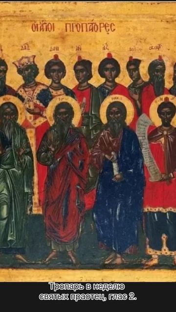 Тропарь в Неделю святых праотец, глас 2, 28 декабря по н.ст. смотреть онлайн